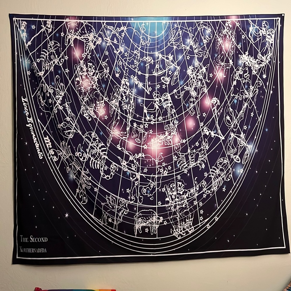 The Secoxd Xorthernadfda Wall tapestry